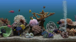 Marine Aquarium - день, часы со стрелками