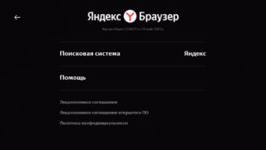 Яндекс Браузер для ТВ - выбор поисковой системы